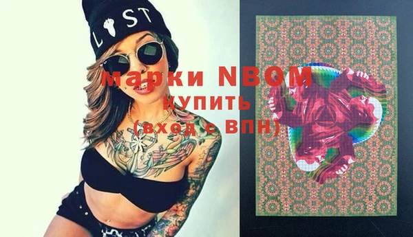 шишки Медвежьегорск