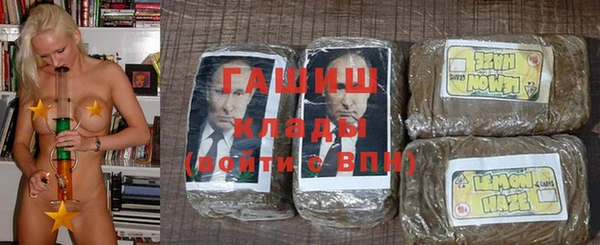шишки Медвежьегорск
