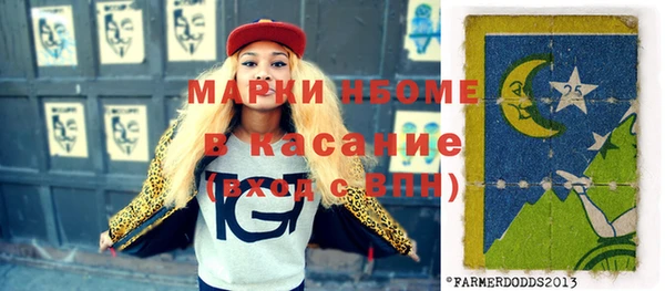 шишки Медвежьегорск