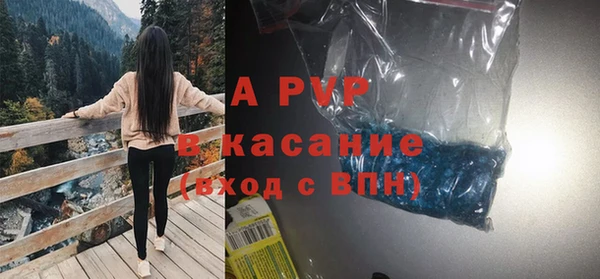шишки Медвежьегорск