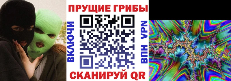 Псилоцибиновые грибы Psilocybine cubensis  Фрязино 
